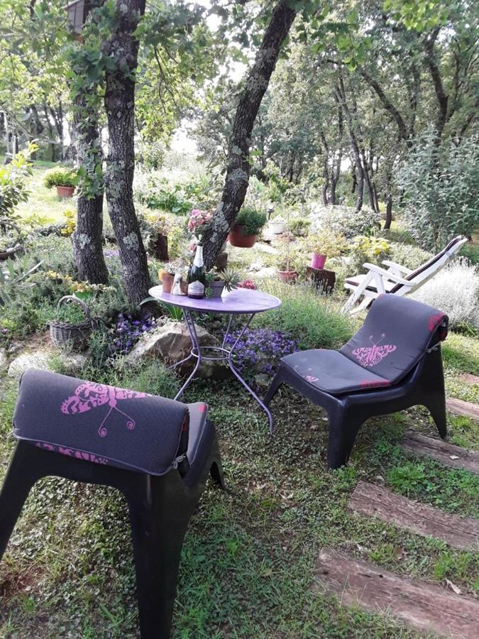 Apartments Bijou With Big Private Garden Near Umag Vilanija Экстерьер фото